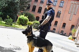 policjant i jego pies służbowy