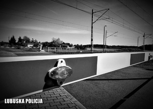 zamknięte rogatki