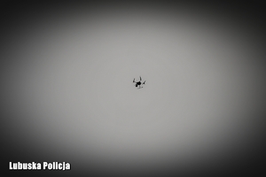 Dron