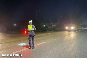 Policjant zatrzymuje pojazd