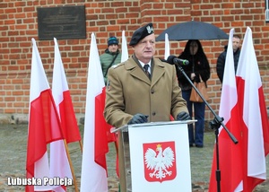 Mężczyzna przy mównicy