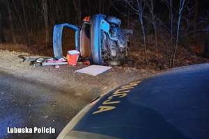 samochód wywrócony na poboczu