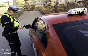 kontrola przewoźnika