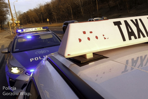 kontrola przewoźnika