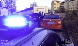 kontrola przewoźnika