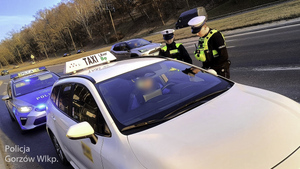 kontrola przewoźnika