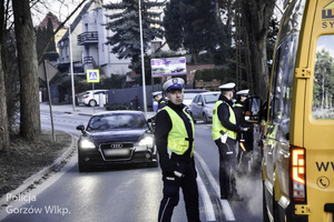 kontrola trzeźwości na drodze