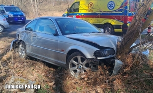 auto uderzyło w drzewo