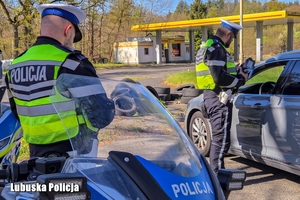policjant kontroluje dokumenty