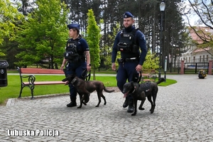 policyjny patrol z psem służbowym
