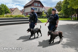 policyjny patrol z psem służbowym