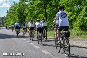 rowerzyści jadą po drodze
