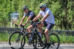 rowerzyści jadą po drodze