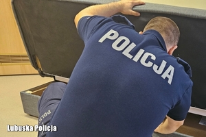 policjant zagląda do tapczanu