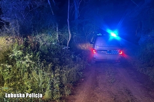 radiowóz na leśnej drodze