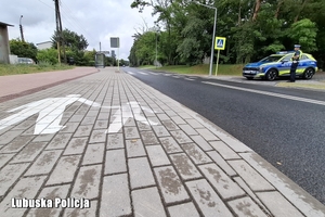 radiowóz i policjant stoją przy chodniku