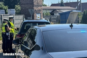 policyjne działania na drodze