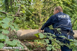 policjant idzie przez las
