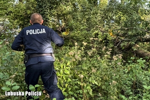 policjant idzie przez las