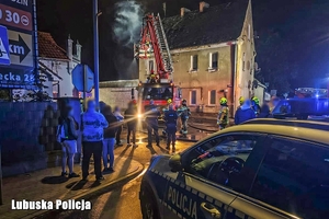 służby na miejscu pożaru
