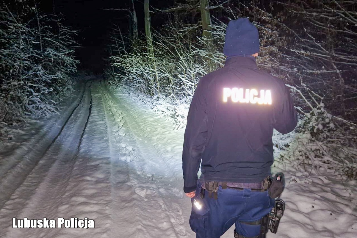 Szybka reakcja służb - zagubieni w lesie spacerowicze uratowani przed wychłodzeniem