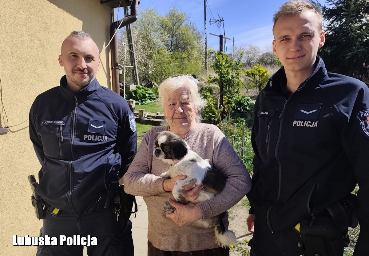 Kolejne zatrzymania w sprawie korupcji przy legalizacji pobytu cudzoziemców