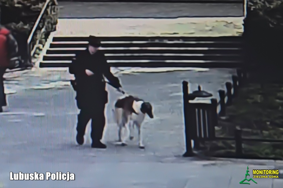 Zielonogórscy policjanci uratowali psa w ostatniej chwili. Ważna przestroga dla właścicieli zwierząt