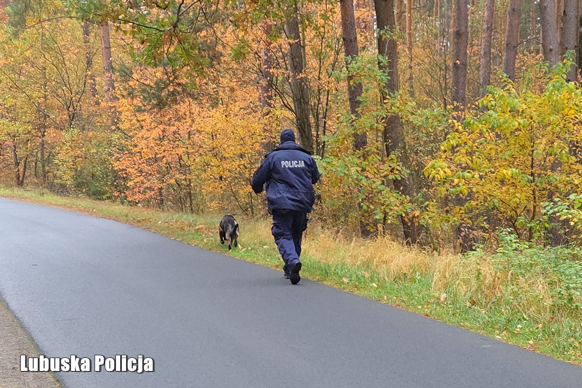 Służby zaangażowane w poszukiwania zaginionego 56-latka